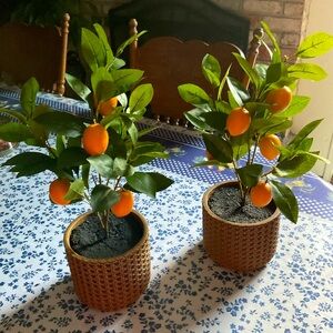 “New” (2) Festive Voice Garden Party Faux Lemon Trees. 28” Tall.  Weaved Basket.